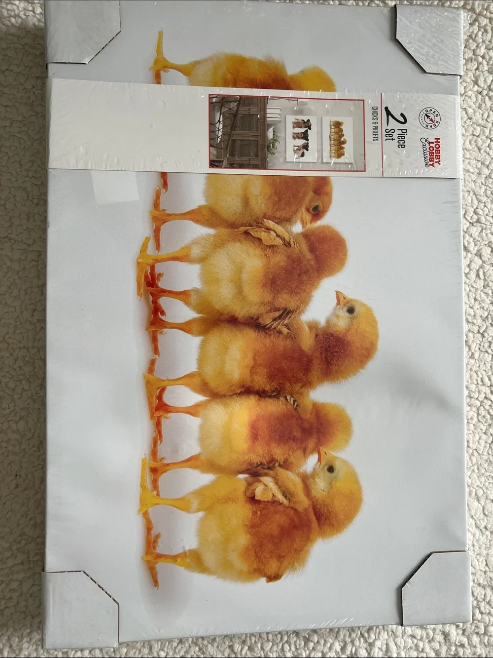 Hobby Lobby Chicks & Piglets Wall Art - Canvas 15” x 23”